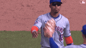 Sport Win GIF by New York Mets