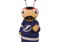 Ice Hockey Sport Sticker by NHL