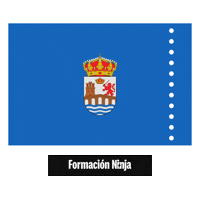 Flag Pixel Art Sticker by Formación Ninja
