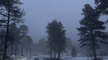 Freezing Fog and Snow Create 'Magic' Scene on Colorado Trail