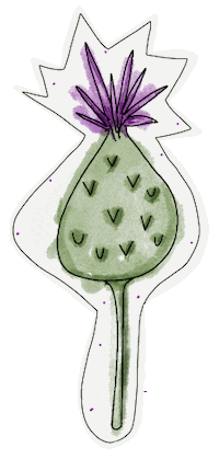 Flower Garden Sticker by scholzydesign