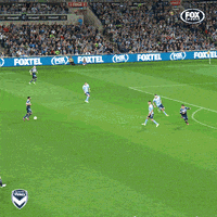 Mvfc Greatest Goal GIF by Melbourne Victory FC