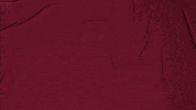 College Baseball GIF by Pearl River Athletics