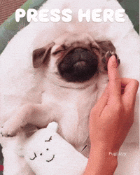 Cute Dog Snoozing GIF