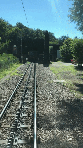 simontsurijacoby giphyupload GIF