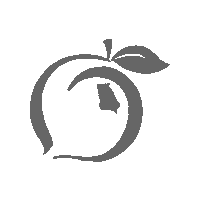 peachstatepride clothing peach grey menswear Sticker