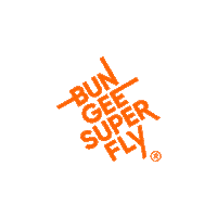 Bungee Workout Sticker by Bungee Super Fly®