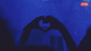 live GIF by Studio Brussel