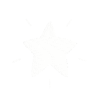 Christmas Star Sticker