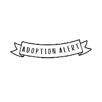 petstreetonline adopt adoption adoptdontshop adopt me Sticker