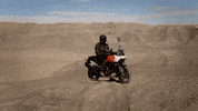 Ride GIF by Harley-Davidson