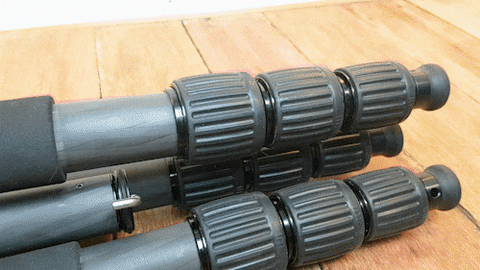 dalegphoto giphyupload GIF