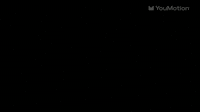 Abstract Scribble Animations Pack