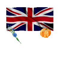 Christmas Thanksgiving Sticker by International Collection