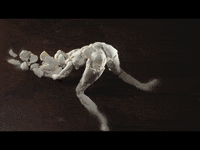 NŒVUS GIF by samuelyal