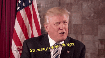 donald trump gop GIF by Election 2016