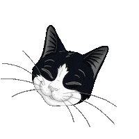 Happy Lick Sticker by CatsLikeFelix