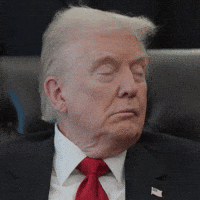 Donald Trump Potus GIF by Respective