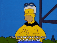 the simpsons episode 24 GIF