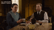Tea Ohno GIF by All Creatures Great And Small