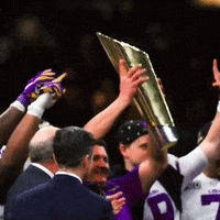 Lsu Football Champions GIF by LSU Tigers