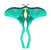 Luna Moth Love Sticker by Guided by Light Art