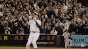 nyy GIF by MLB