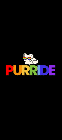 Gay Pride Cat GIF by HDBnQ Rescue
