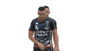 Harry Potter Sport Sticker by FCG Rugby