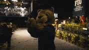 fiugif fiugrad GIF by FIU