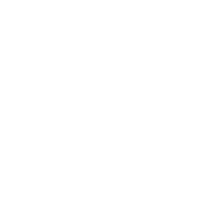 flon-sg party disco sg wavy Sticker
