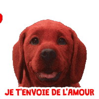 Amour Love Sticker by Clifford Movie