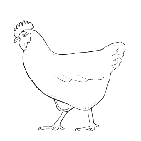 eatoutoften giphyupload chicken farm star provisions Sticker