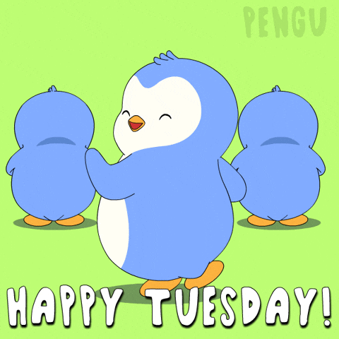 Happy Tuesday Morning GIF by Pudgy Penguins