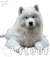Excuse Me Wtf Sticker
