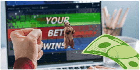 wintipscom giphygifmaker giphyattribution wintips GIF