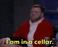 Ron Ogden GIF by The Dungeon Run