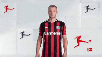 Bayer 04 What GIF by Bundesliga