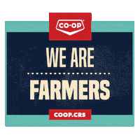Wearecoop Sticker by Co-op
