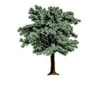 AngelsEnvy angelsenvy 3 toast the tree 4 white oak tree 5 angels envy Sticker