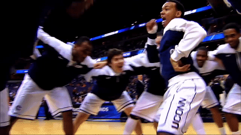 uconn napier GIF