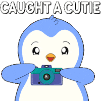 Penguin Smile Sticker by Pudgy Penguins