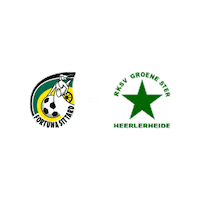 Fortuna Sittard Heerlen Sticker by Groene ster