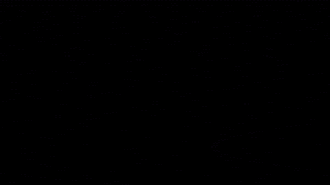 friends squad goals GIF by Tarleton State University