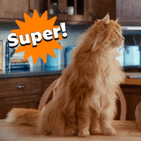 Kat GIF by KPN