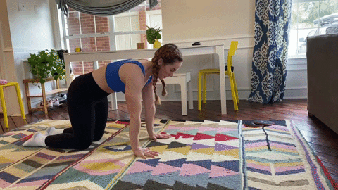 megsquats giphyupload GIF