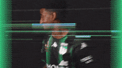 A-League Sport GIF by Western United Football Club