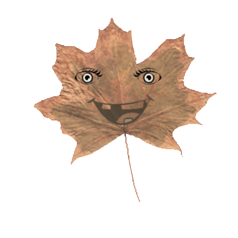 Ar Folhinha Sticker by Multiverso do Gnomo Nhyin