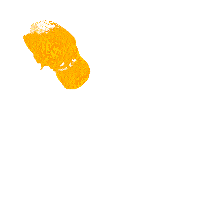 PapayaYoungDirectors giphyupload papaya papayayoungdirectors papayayoungdirectors2020 Sticker