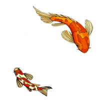 swipe up italian Sticker by Humpty Dum
